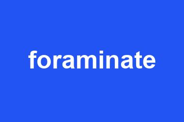 foraminate