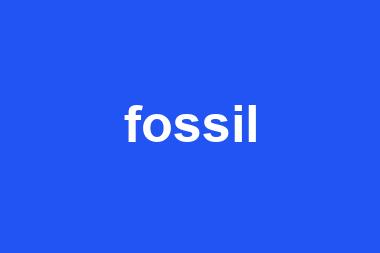 fossil