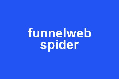 funnelweb spider