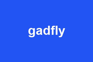 gadfly