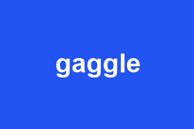 gaggle