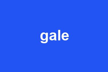 gale