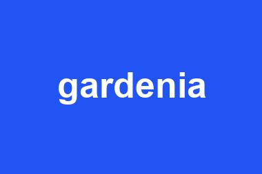 gardenia