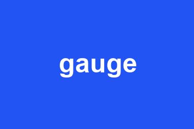 gauge