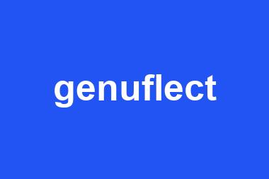 genuflect