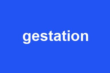 gestation