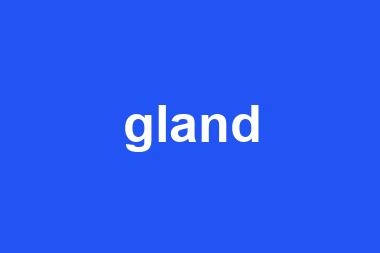 gland