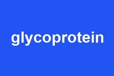 glycoprotein