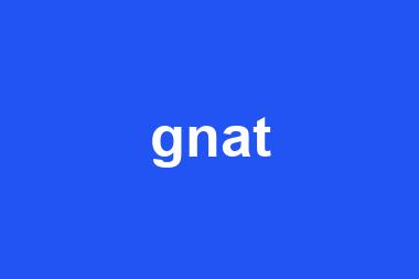 gnat