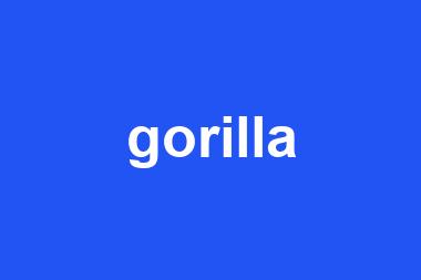 gorilla