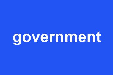 government