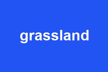 grassland