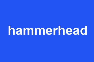 hammerhead