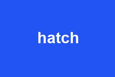 hatch