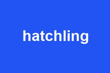 hatchling