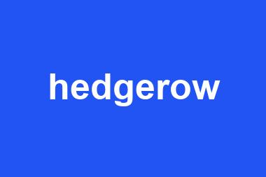 hedgerow