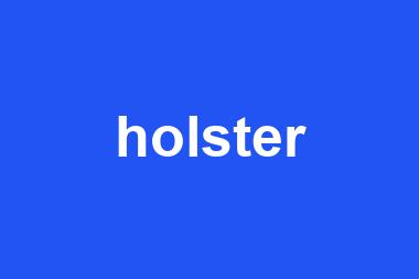 holster