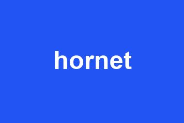 hornet