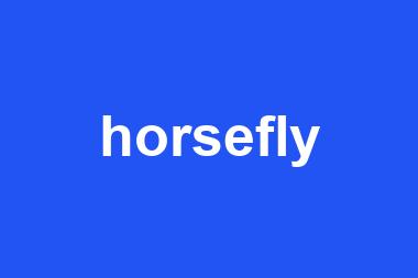 horsefly