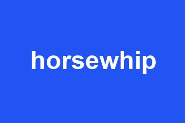 horsewhip