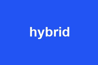 hybrid