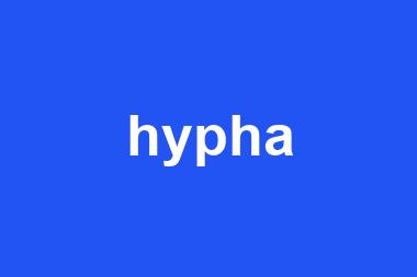 hypha