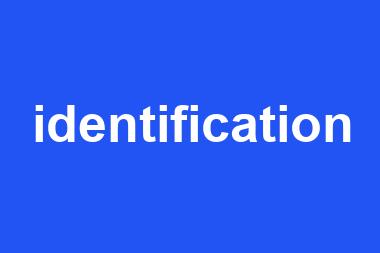 identification