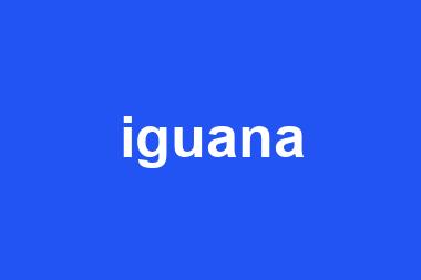 iguana