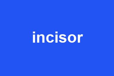 incisor