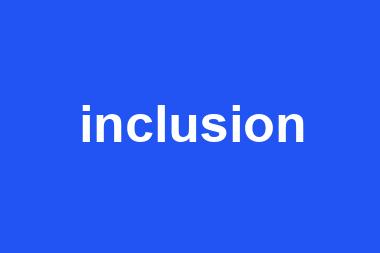 inclusion