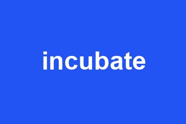 incubate