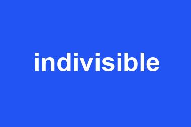 indivisible