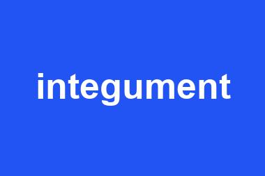 integument