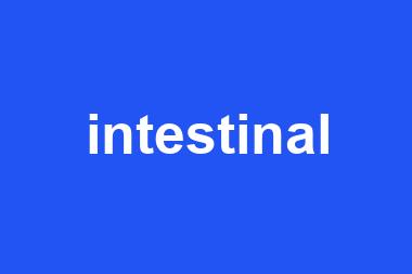 intestinal