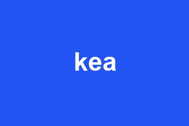 kea