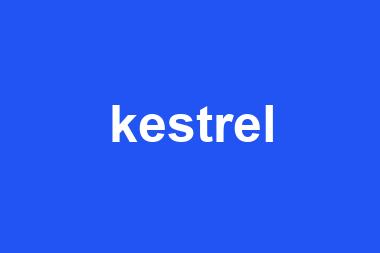 kestrel