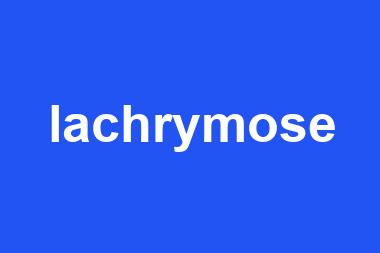 lachrymose