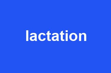 lactation