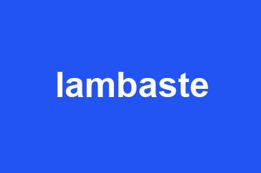 lambaste