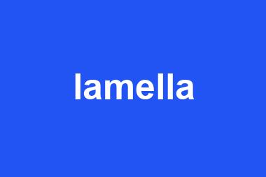 lamella