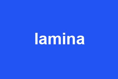 lamina