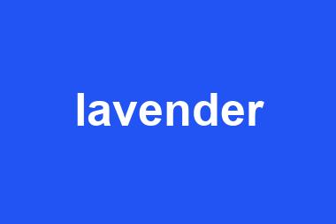 lavender