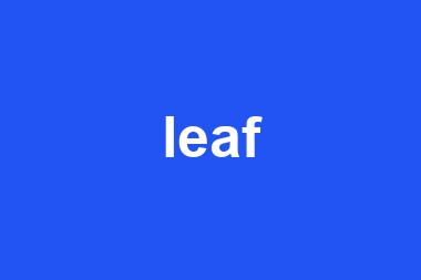 leaf