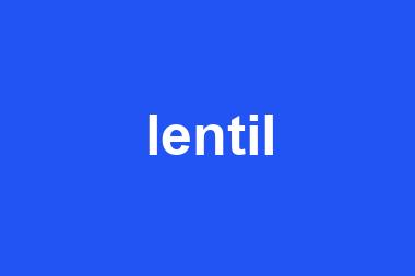 lentil