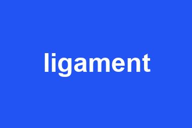 ligament