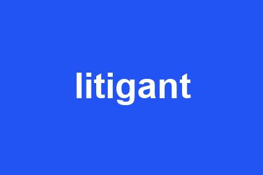 litigant