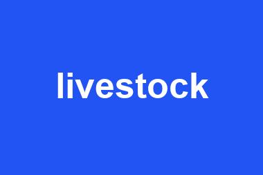 livestock