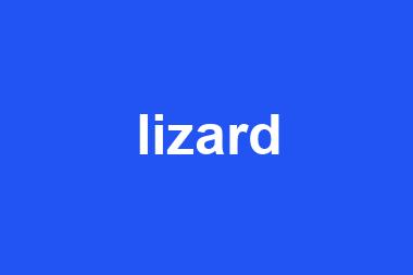 lizard