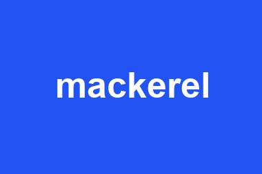 mackerel