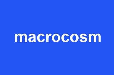 macrocosm